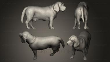 Animal figurines (STKJ_0164) 3D model for CNC machine